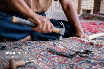 Qazvin Carpet 5-Shayan Moazed-WikiRug.jpg